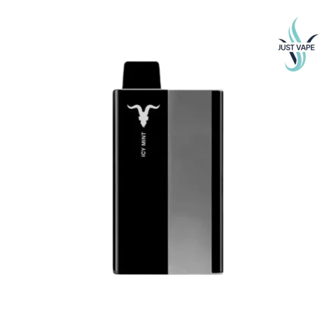 Descartables Ignite P100 Kit Completo 10000 Puffs