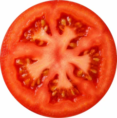 Imagem do Mousepads Divertidos – Frutas & Comidas