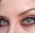 Gogh Gray Freshlady ( Lente rara ) - Ama Lentes Coloridas