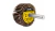 Roda de Lixa Vonder 40mmX20mm C/ Haste G60, G80, G100, G120, G220 - comprar online