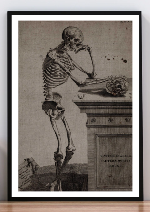 Cuadro esqueleto contemplando un cráneo. Andrés Vesalio.
