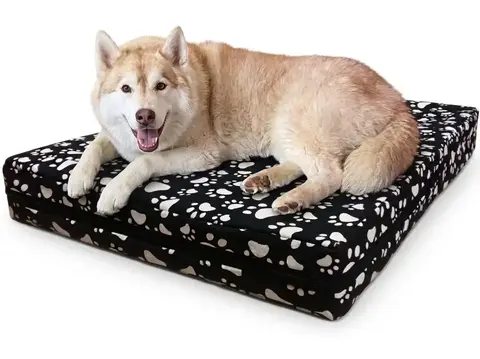 Colchón Cama para Perro y Gato Chico con Funda Feeling Cloc (70 x 50 cm)