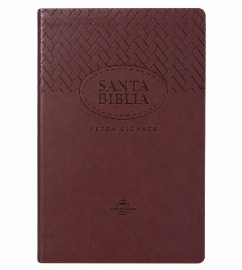BIBLIA LETRA GIGANTE