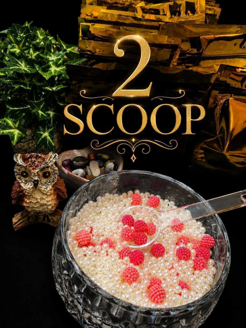 2 Scoop