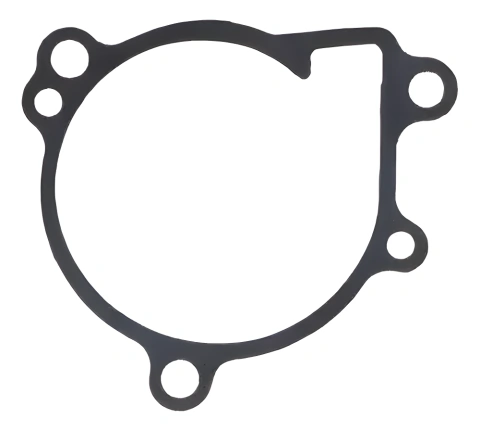 Junta Bomba De Agua Original Kawasaki Klr650 1987/2022