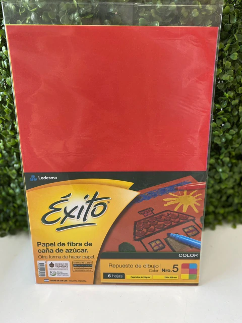 CANSON ÉXITO N5 COLOR X6 HOJAS (741)