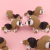 Beagle - Fun 3D