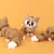 Corgi na internet