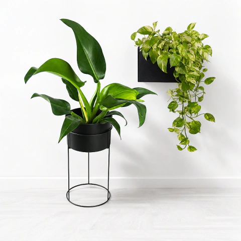 Kit - Cachepô Suspenso Humaitá + Suporte de Plantas com Vaso Humaitá