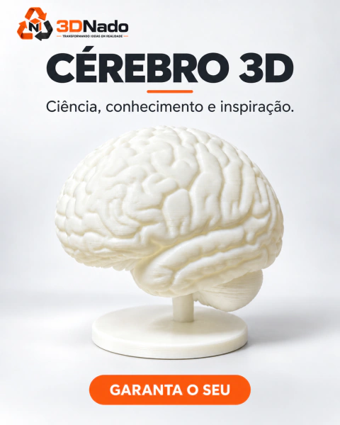 Cérebro Humano 3D