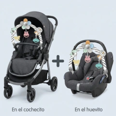 BARRAL DIDÁCTICO en internet