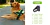 Arnés Antitirones para Perros - Eslabón Pet Shop