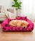 Cama Pet Gorgopet Impermeável Gigante na internet