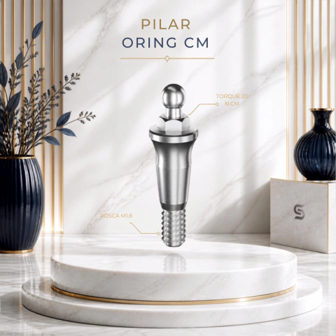 Pilar Oring CM Cone Morse