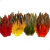 P/ Saddle Schlappen IRISE 16/22 cm