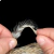 Patches Neck Grizzy 30 plumas aproximadamente - 2 a 5 cm. largo - comprar online