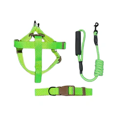 Conjunto Jessie (3 peças)