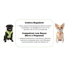 Guia + Peitoral Bizunza - loja online