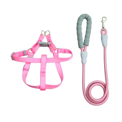 Guia + Peitoral Zara - comprar online