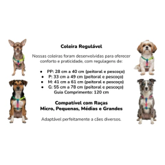 Guia + Peitoral Amora - comprar online