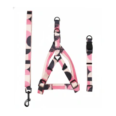 Conjunto Little Fox (3 peças) - comprar online