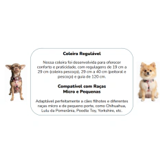 Conjunto Little Fox (3 peças) - Petpex Co.