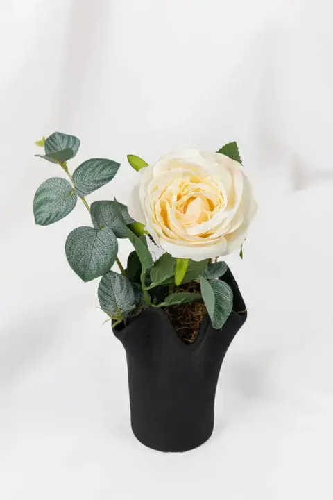 Rosebush black florero