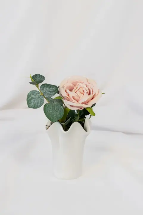 Rosebush white florero