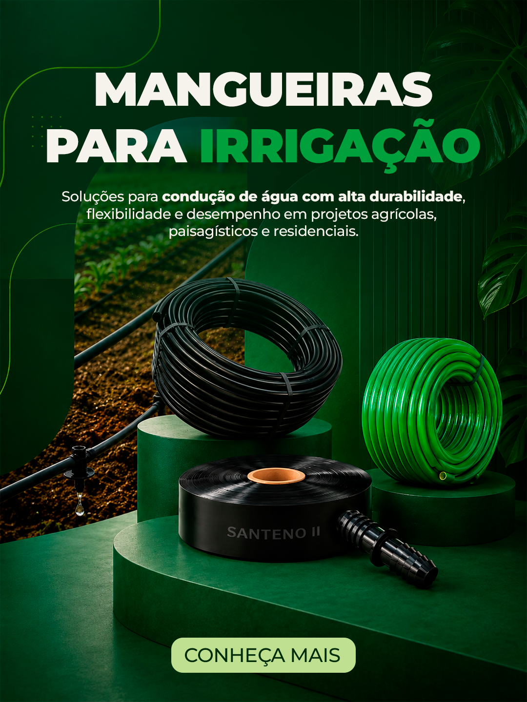 Carrossel