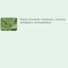 Aceite Esencial Ayurdeva's Salvia 8ml Puro Natural Orgánico Difusor Masajes - Ayurdeva´s
