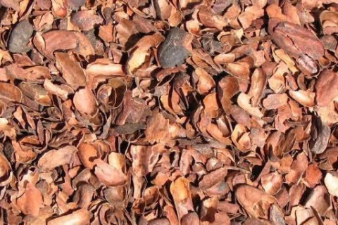 Cascarilla de cacao 100 gr