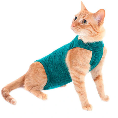 Moleton Cat