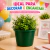 Baldes de Pipoca 1.5L em PP - Plasti Brindes