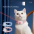 Collar Láser Interactivo para Gatos - comprar en línea