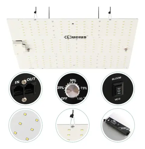 Panel Led Growtech Lucius Bloom 240w