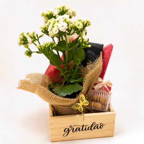 Caixa Gratidão com Kalanchoe e Chocolates