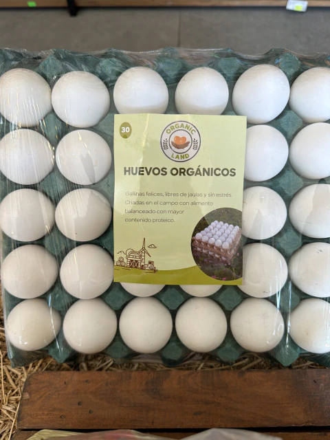 Huevos pastoriles por maple