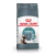 Royal Canin Hairball Care