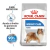 Royal Canin Maxi Weight Care Perro - comprar online