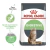 Royal Canin Digestive Care - comprar online