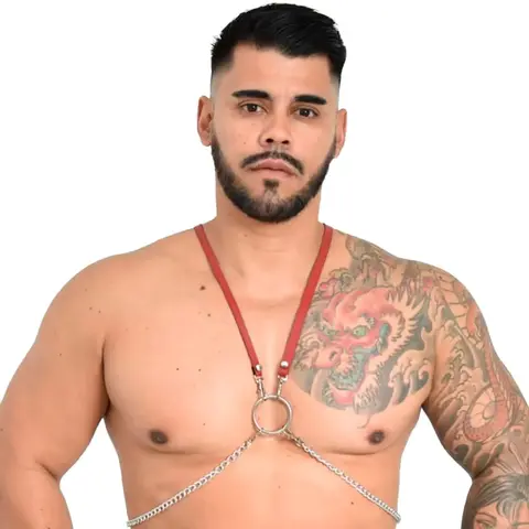 Harness Masculino Anthony Linha Sado Êxtase Produtos Eróticos