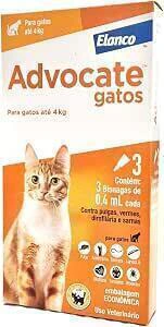 Advocate gatos e cães