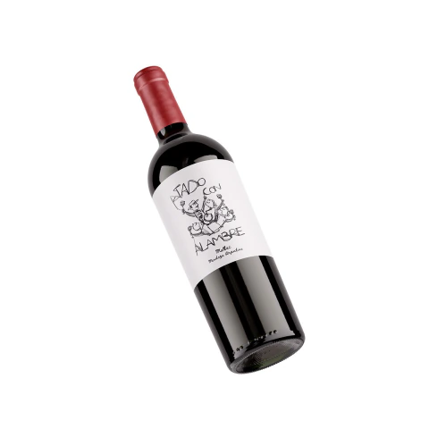 Vino Malbec 2023 | Atado con Alambre