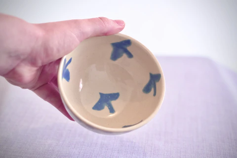 Bowl Pássaros