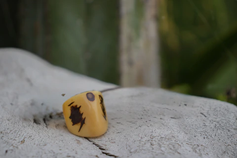 Anillos de Hueso
