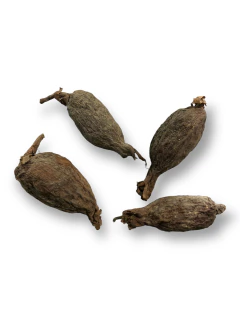 30x FAVA DE ATARE na internet