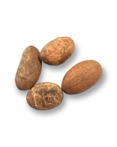 OROBO AFRICANO na internet