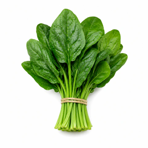 Espinaca