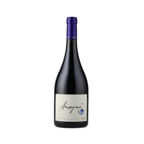 Vinho Amayna Pinot Noir 2022 Tinto - AMAYNA, BOYA)