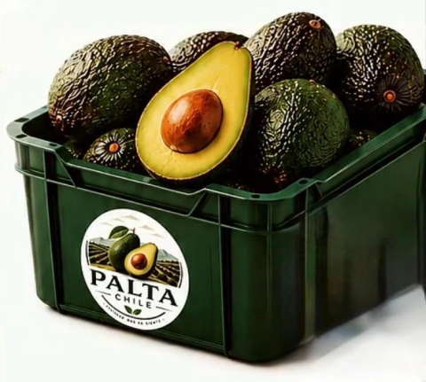 Don Palta 7 Kg